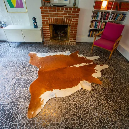 Private 2 Prs Basement I Spacious & Cph Holiday home